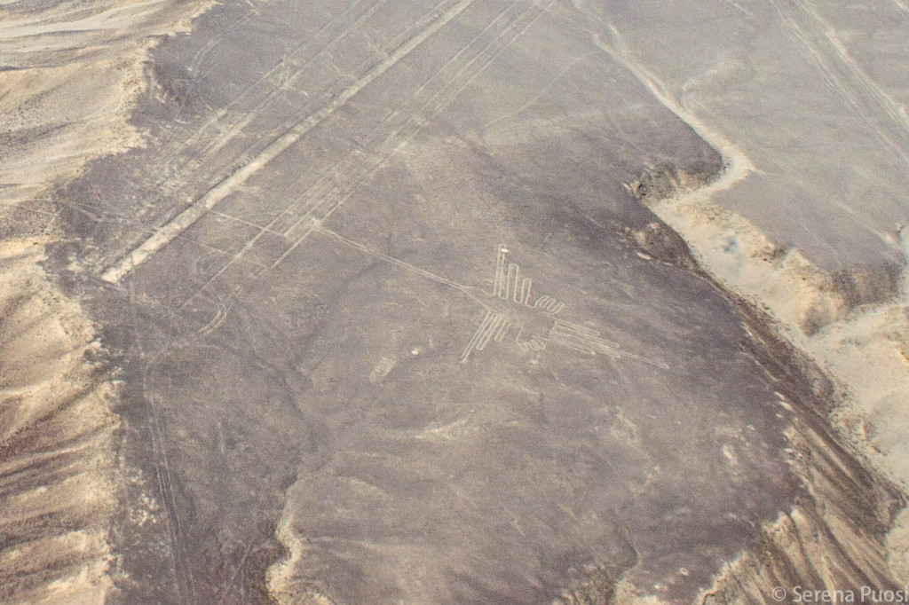 Linee di Nasca