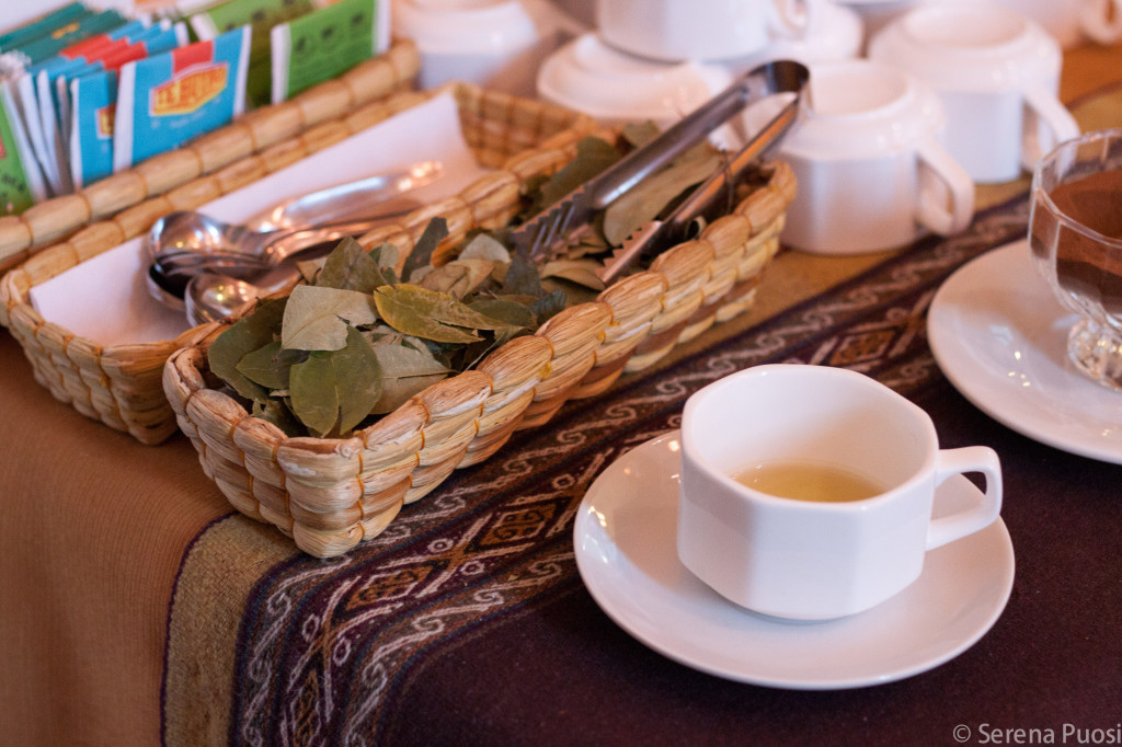 Foglie e mate de coca