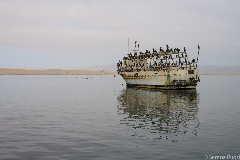 paracas-islas-ballestas-viaggio-perù