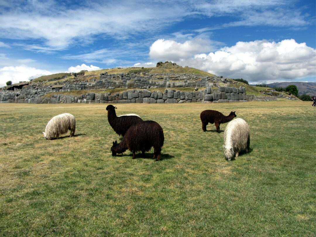 Sacsayhuamán