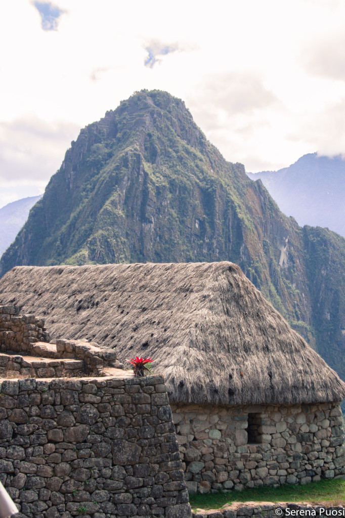 Machu Picchu capanna