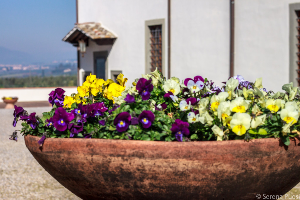 Fattoria di San Michele a Torri