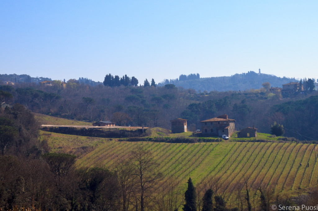Fattoria di San Michele a Torri