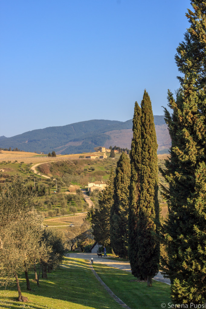 Castello di Nipozzano - Marchesi de’ Frescobaldi