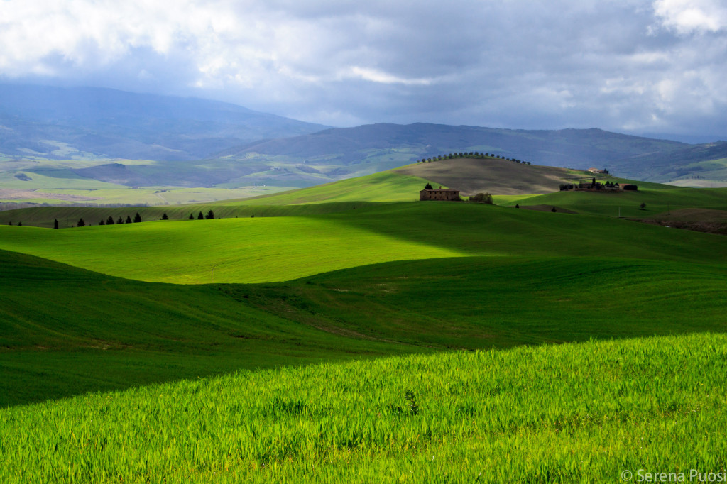Verde Val d'Orcia