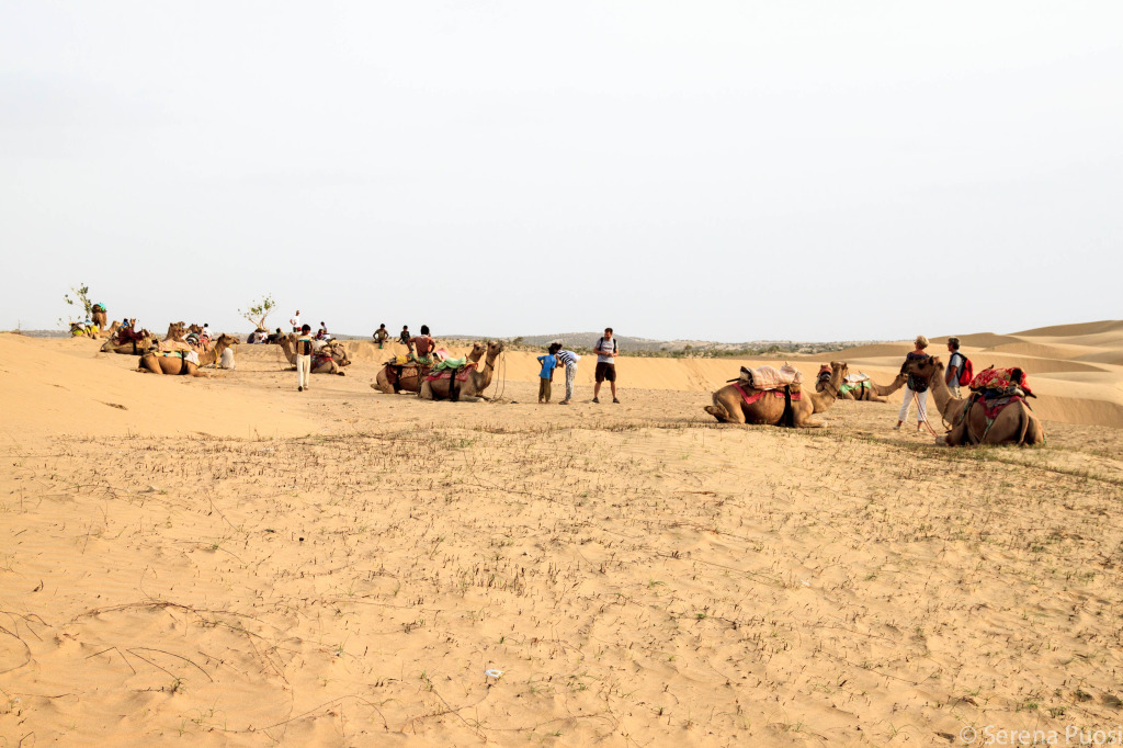 deserto-thar
