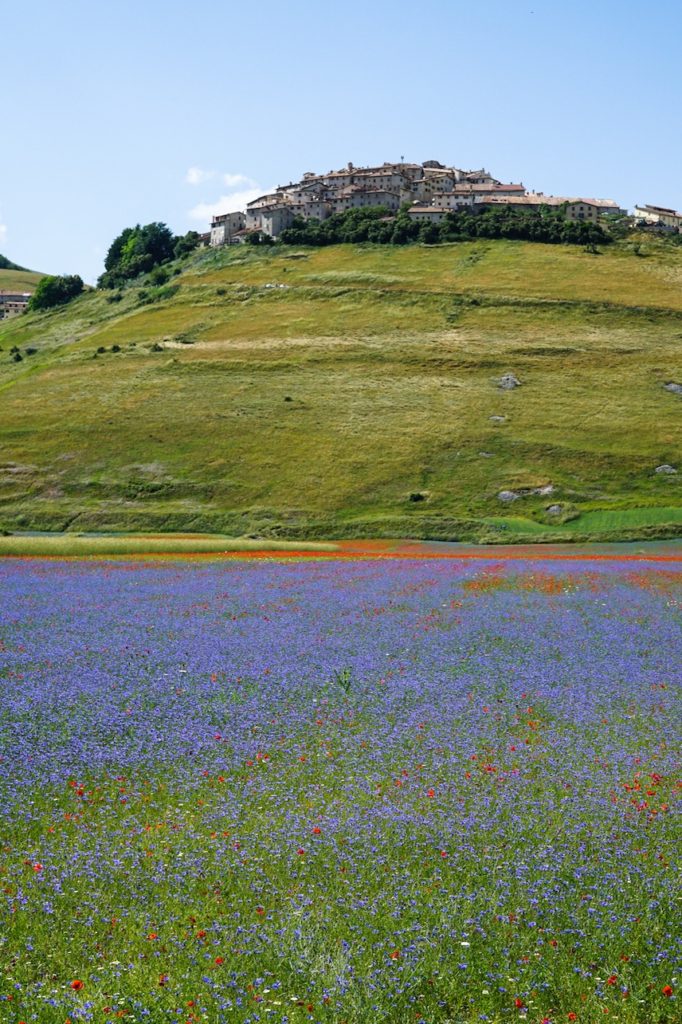 Castelluccio-di-Norcia