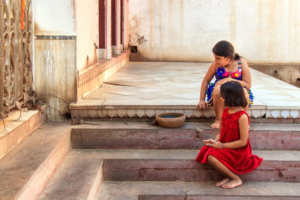 il-tempio-Karni-Mata-in-India