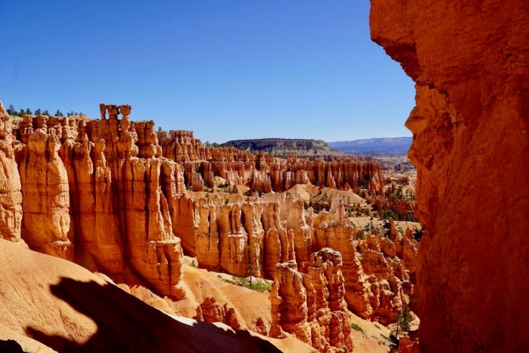 Bryce Canyon visto dal Navajo Loop Trail Bryce Canyon