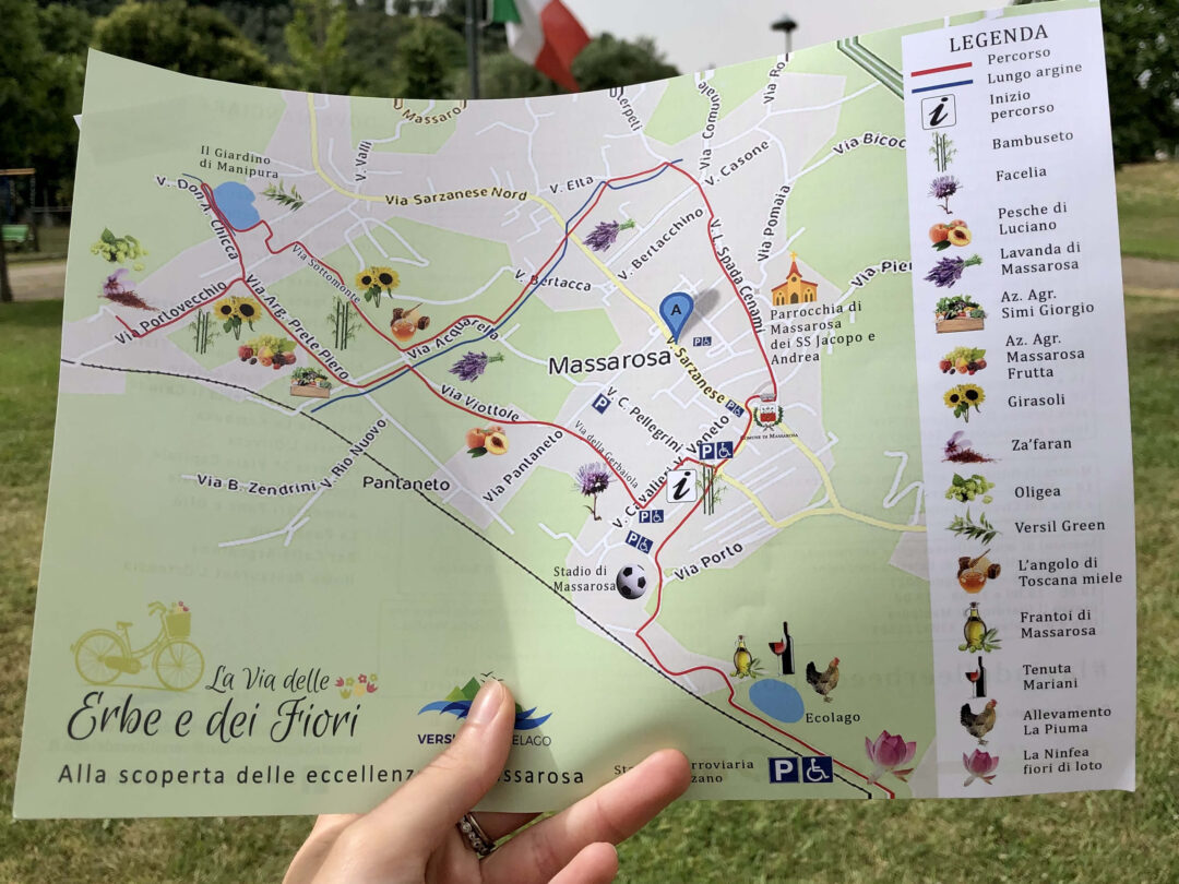 mappa della via delle erbe e dei fiori la via delle erbe e dei fiori, mappa di massarosa