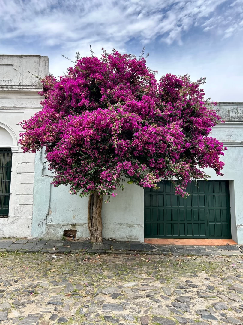 Colonia de Sacramento