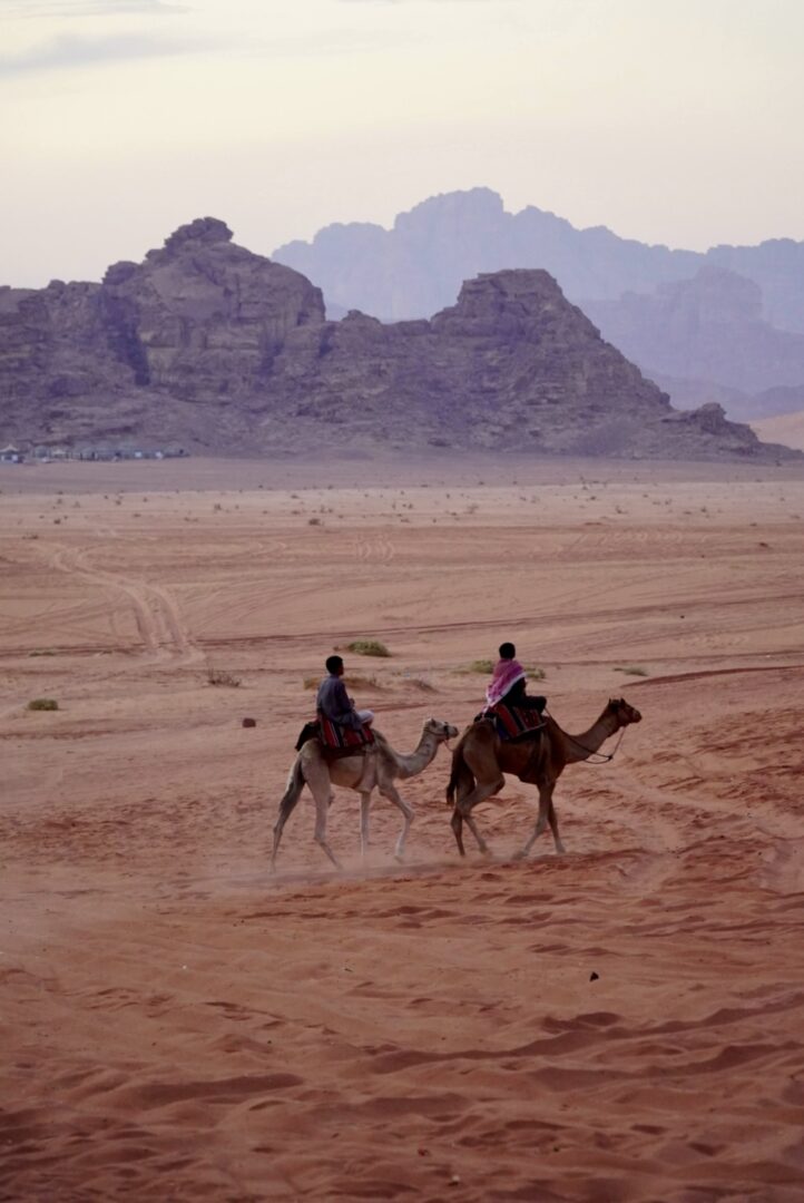 dromedari nel Wadi Rum